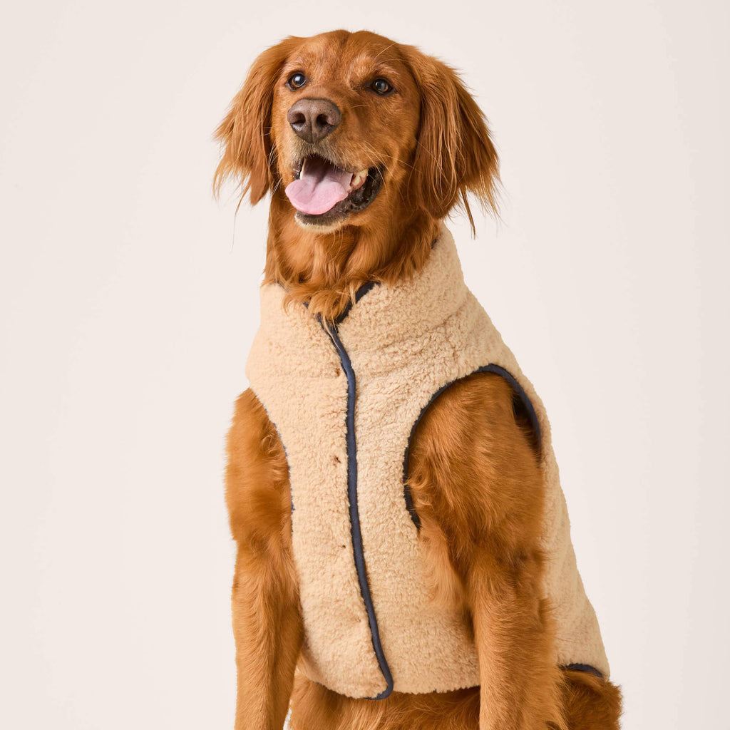 Navy Sherpa-Lined Reversible Dog Jacket