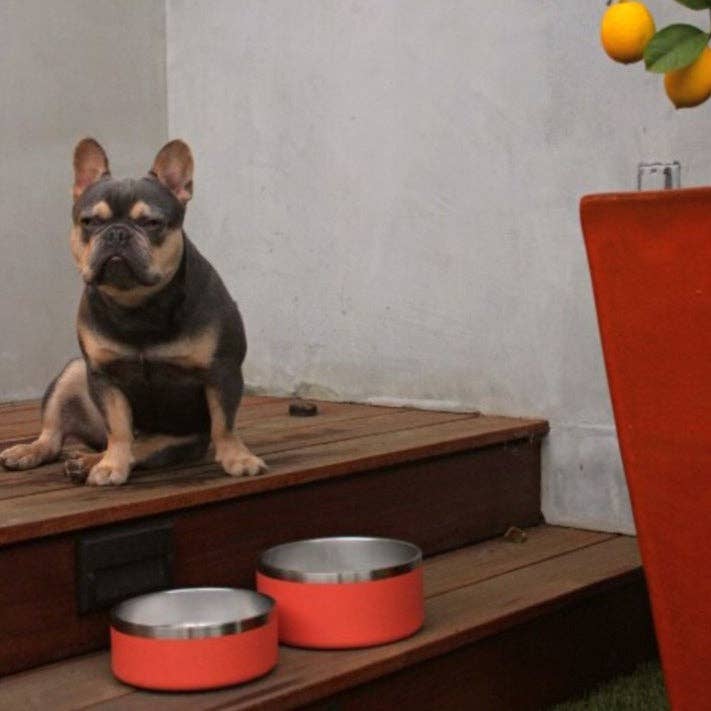 Stainless Steel Pet Food/Water Bowl - Dishwasher Safe