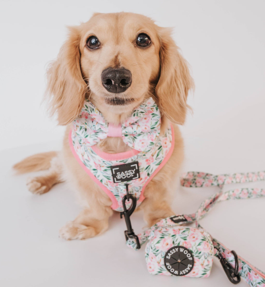 Dog Waste Bag Holder - Magnolia