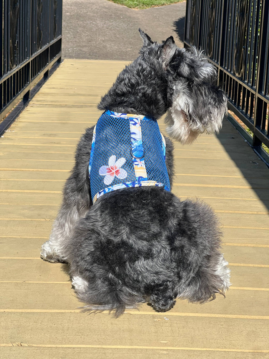 Cool Mesh Dog Harness - Catching Waves