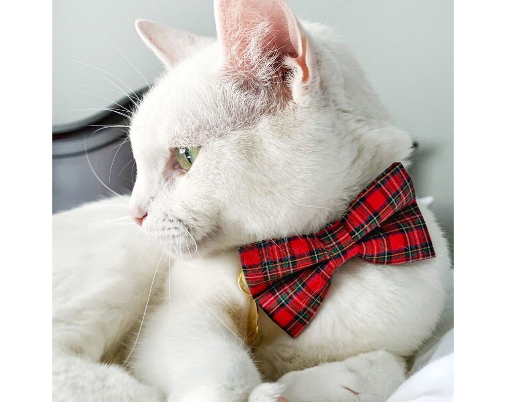 Hearthside Bow Tie for Cats + Small Dogs