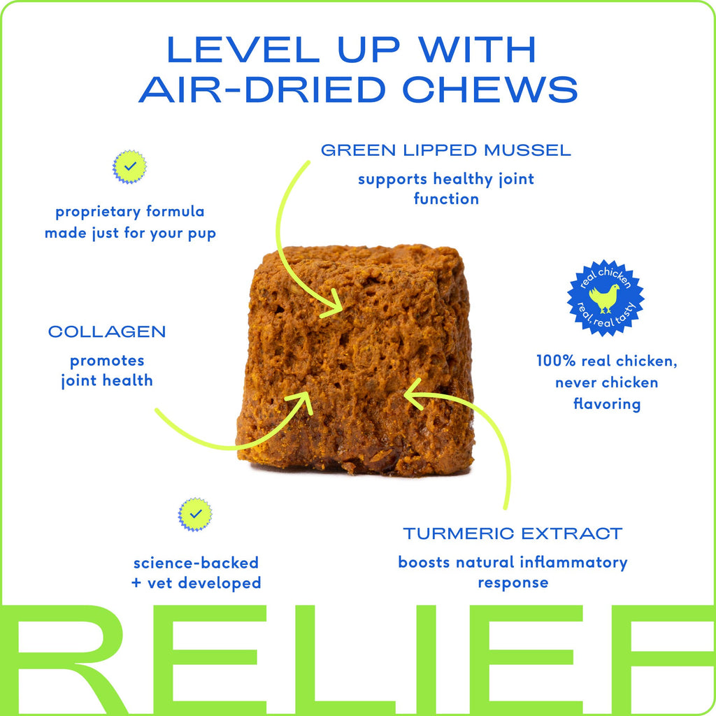 Hip+Joint Inflammatory Care Chews, Hip & Joint Supplement