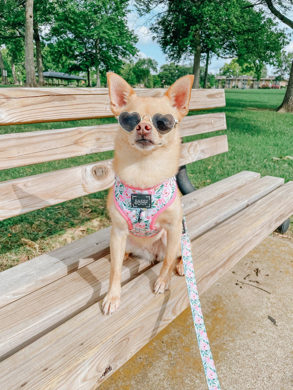 Dog Adjustable Harness - Magnolia