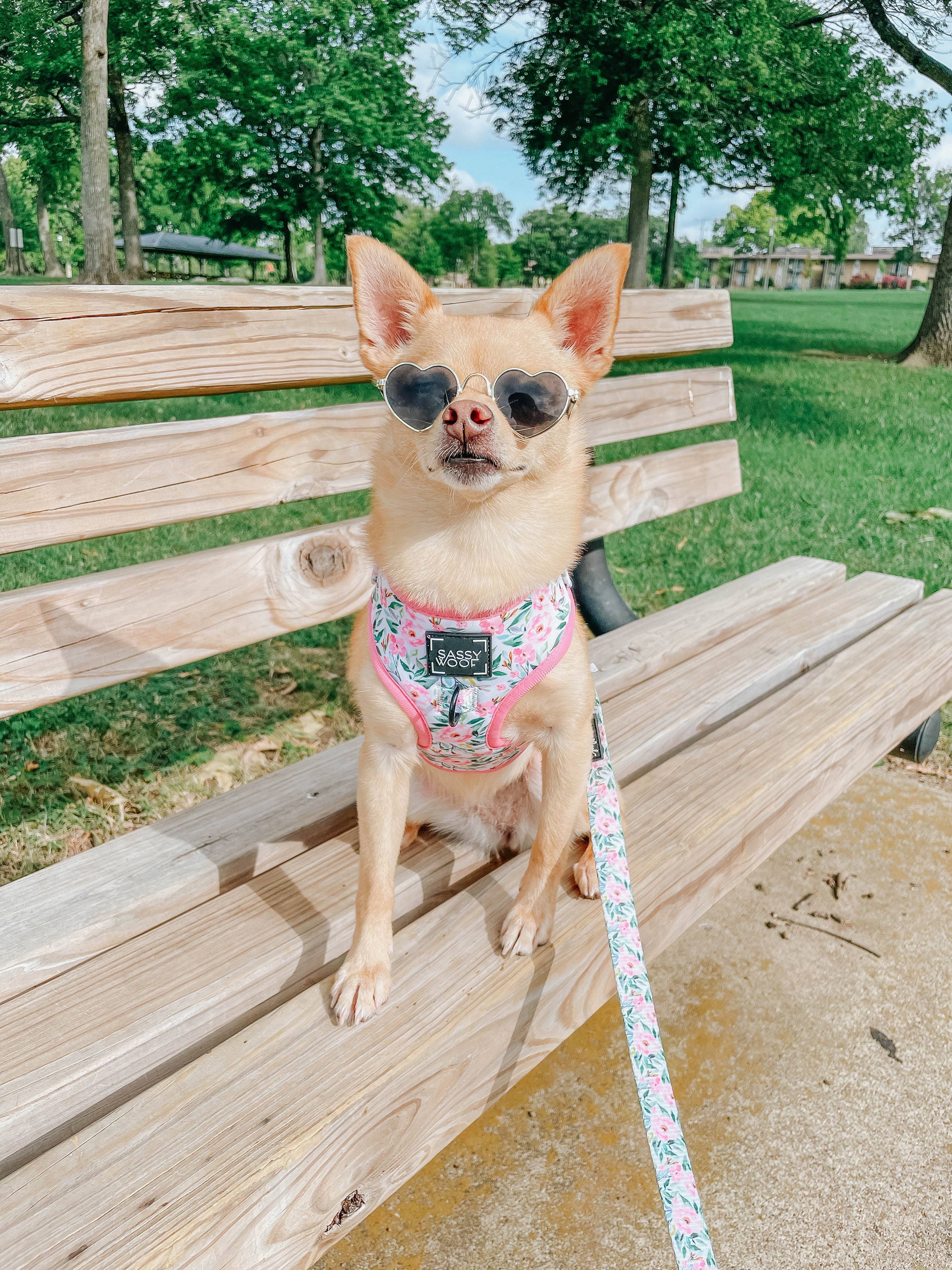 Dog Adjustable Harness - Magnolia