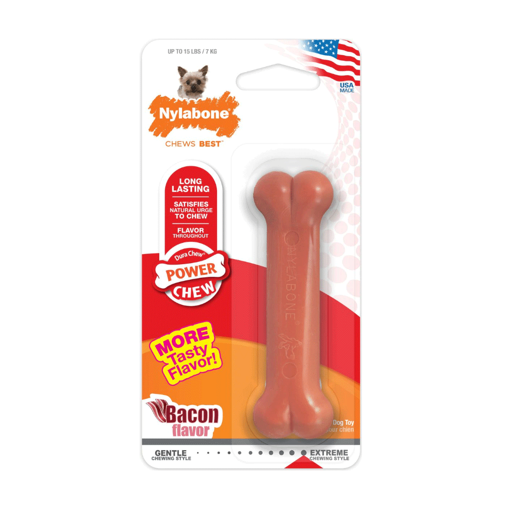 NYLABONE DuraChew Bacon Bone Petite