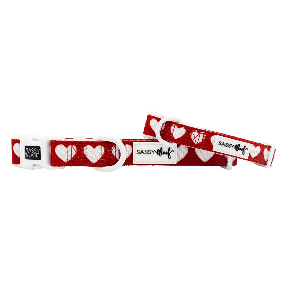 Dog Collar - Little Love