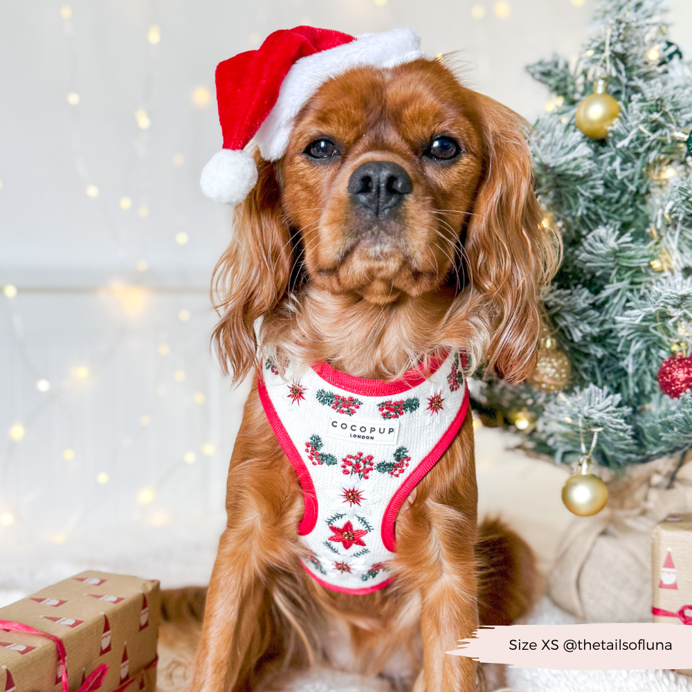 LUXE Embroidered Frosty Flower HARNESS