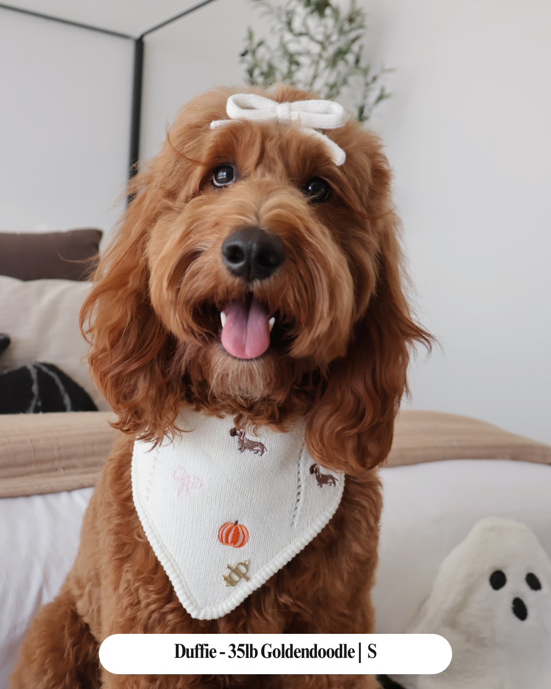 FALL DOG BANDANA | AIMEE'S PUMPKIN PATCH