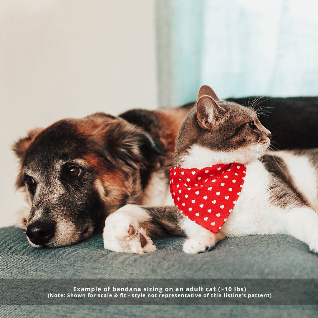 "Birthday Candles" - Bandana for Cat + Small Dog