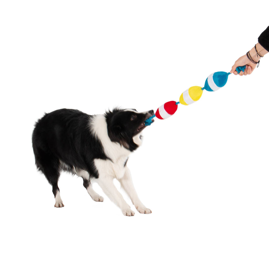 Territory Buoys Floating Water Play Tug Dog Toy