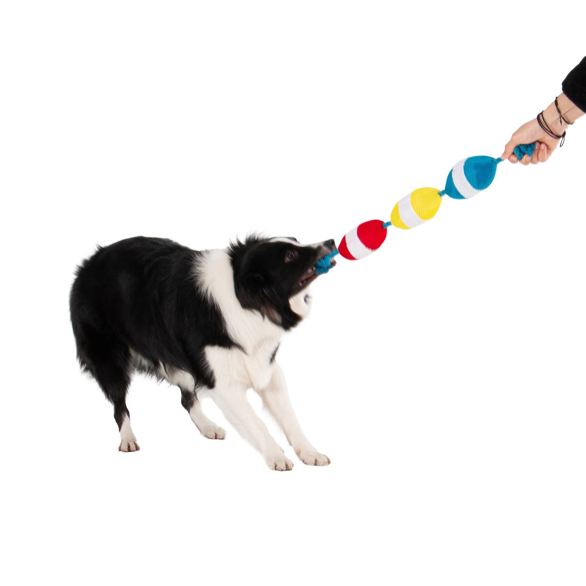 Territory Buoys Floating Water Play Tug Dog Toy