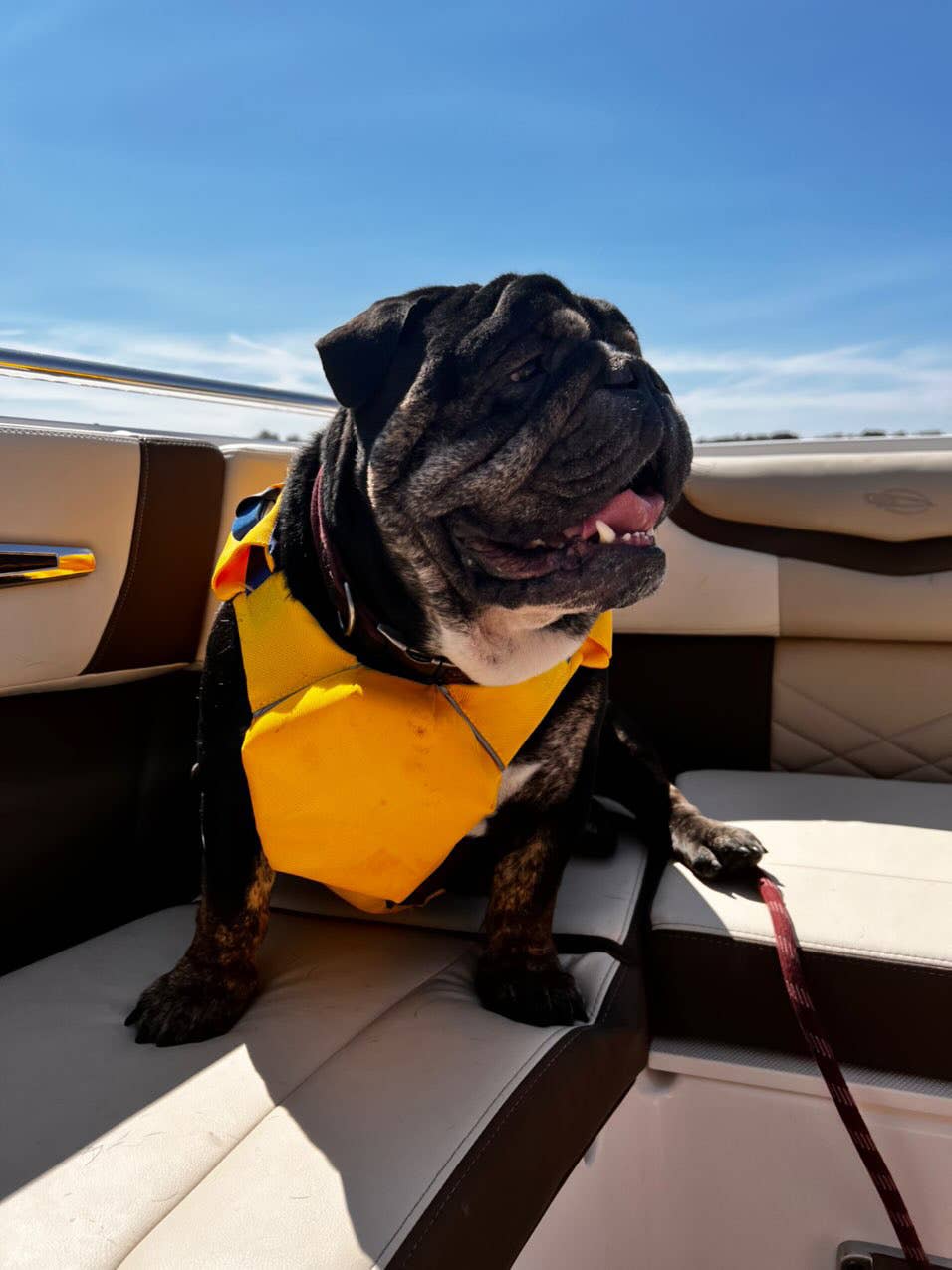 Monterey Bay Offshore Dog Lifejacket