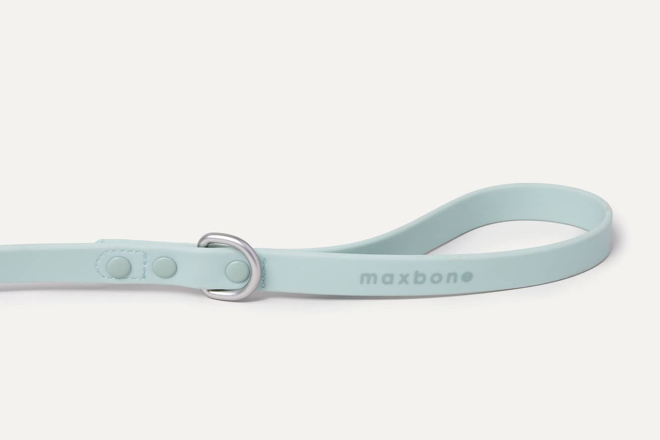 Max Bone Leash
