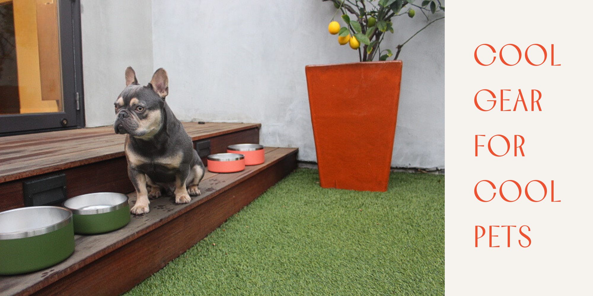 Stainless Steel Pet Food/Water Bowl - Dishwasher Safe