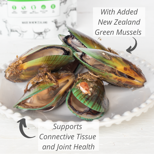 Woof NZ Green Mussel Treat 1.76oz