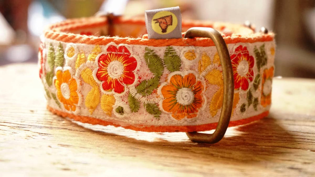 orange collar with floral design