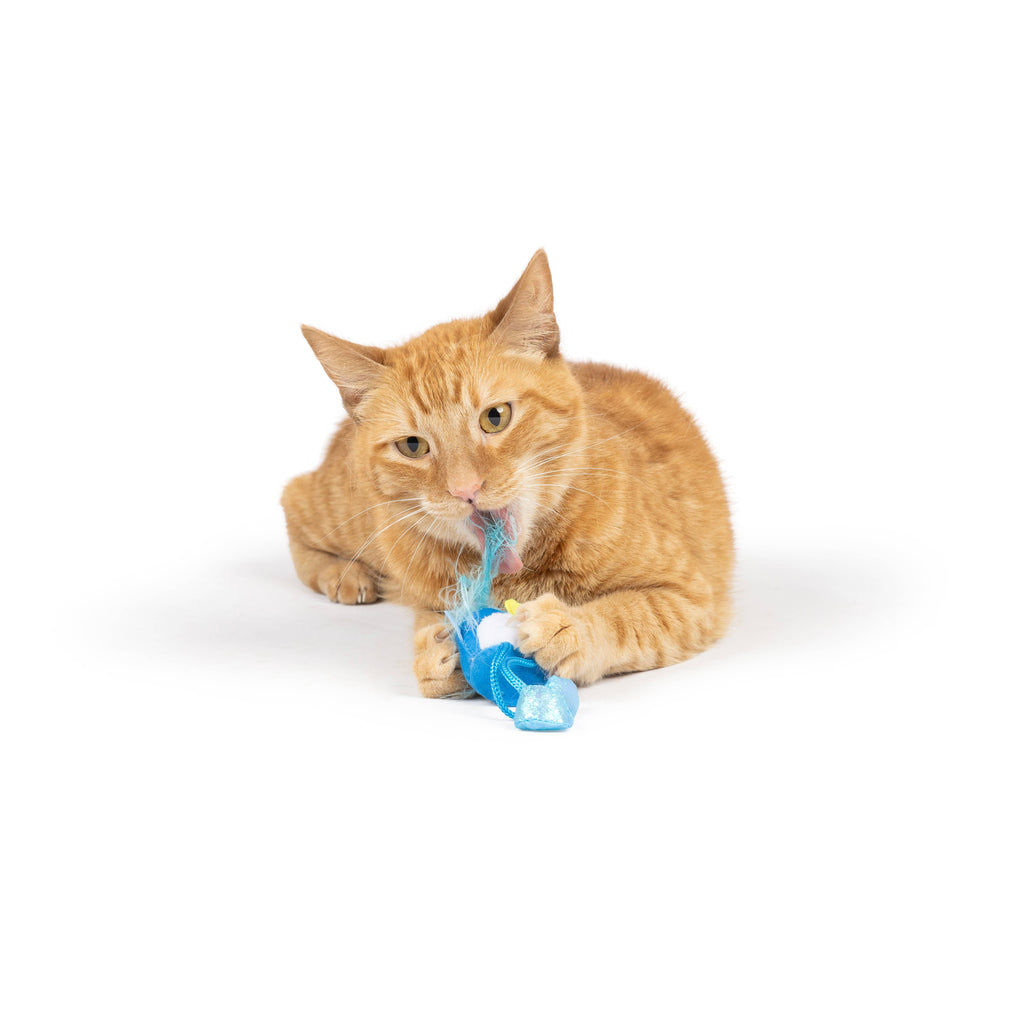 Bluebird Chirpy Cat Toy