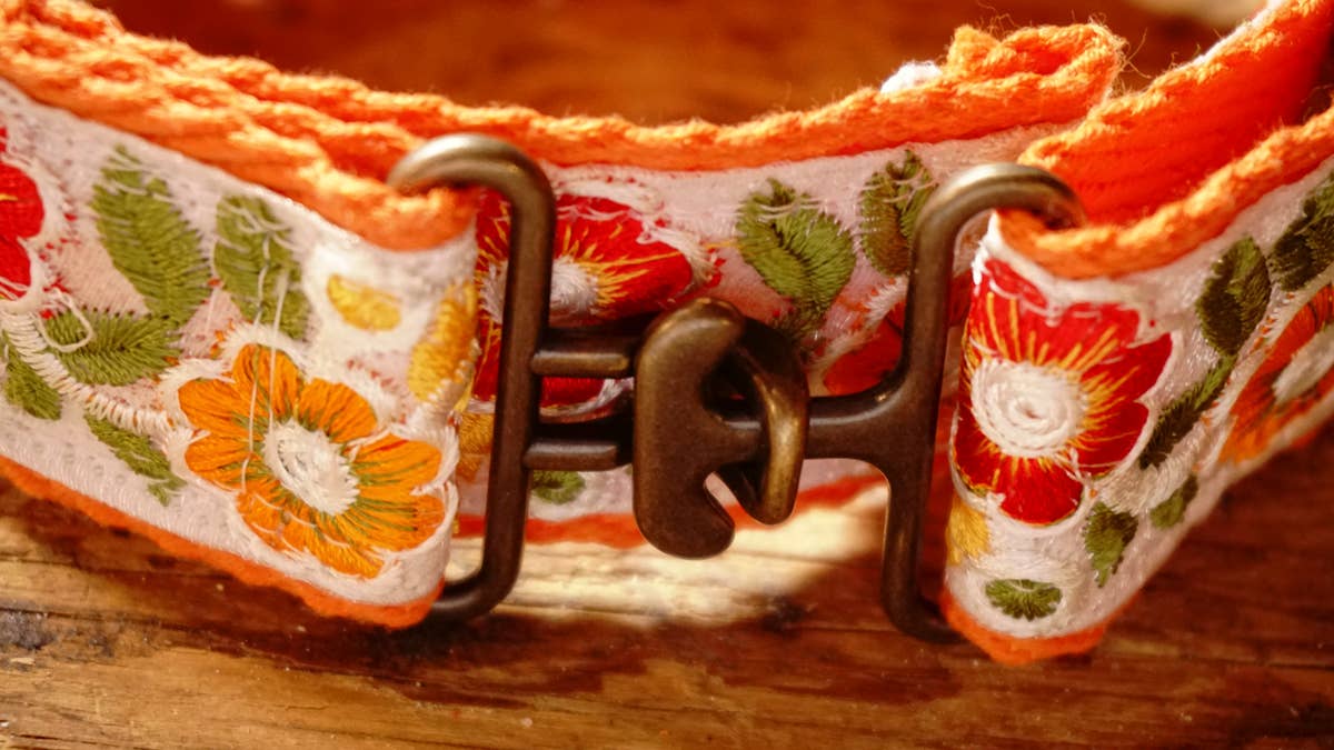orange collar with floral design