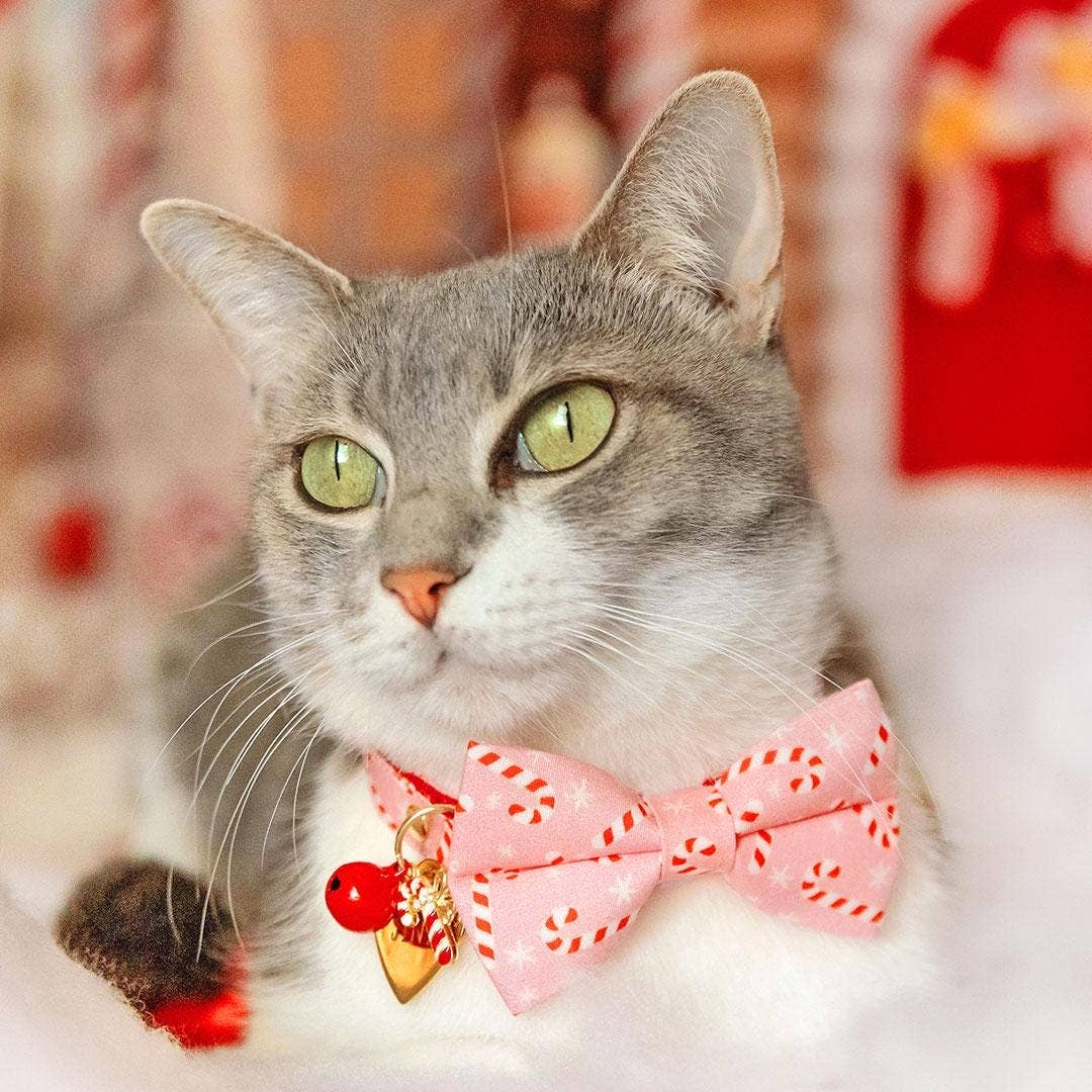 "Candy Christmas" - Holiday Bow Tie for Cats + Small Dogs
