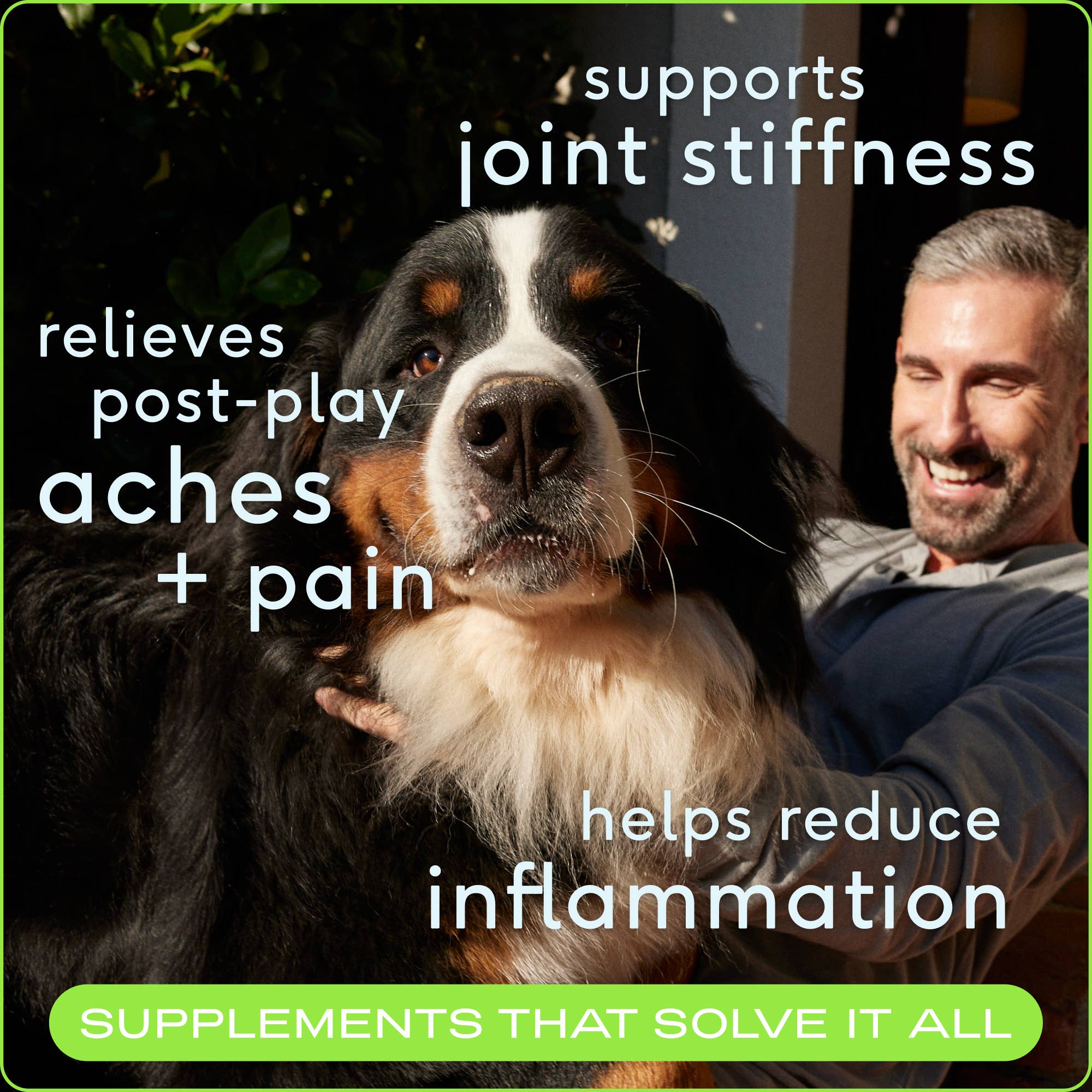 Hip+Joint Inflammatory Care Chews, Hip & Joint Supplement