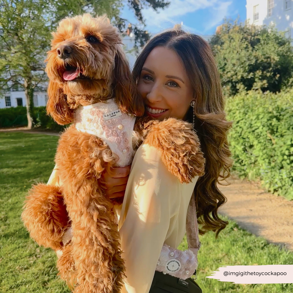 Pearly Pup Adjustable Neck HARNESS