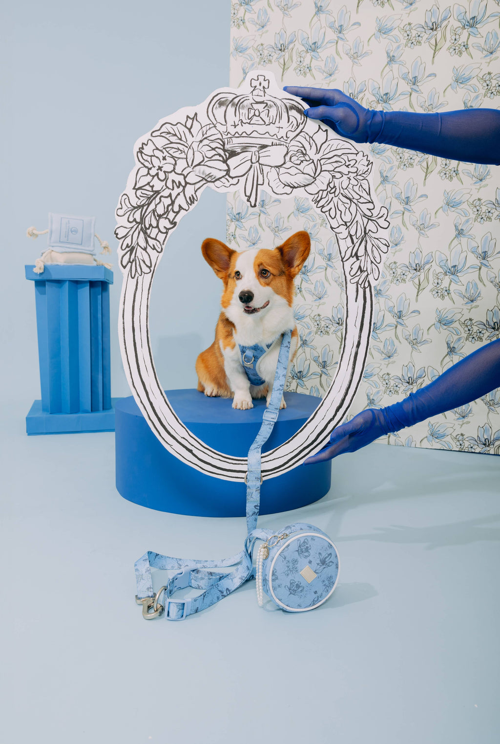 Bridgerton x maxbone Walk Set for Dogs: Medium