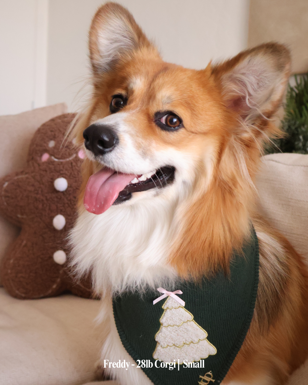 CHRISTMAS DOG BANDANA | TDP FAMILY TREE