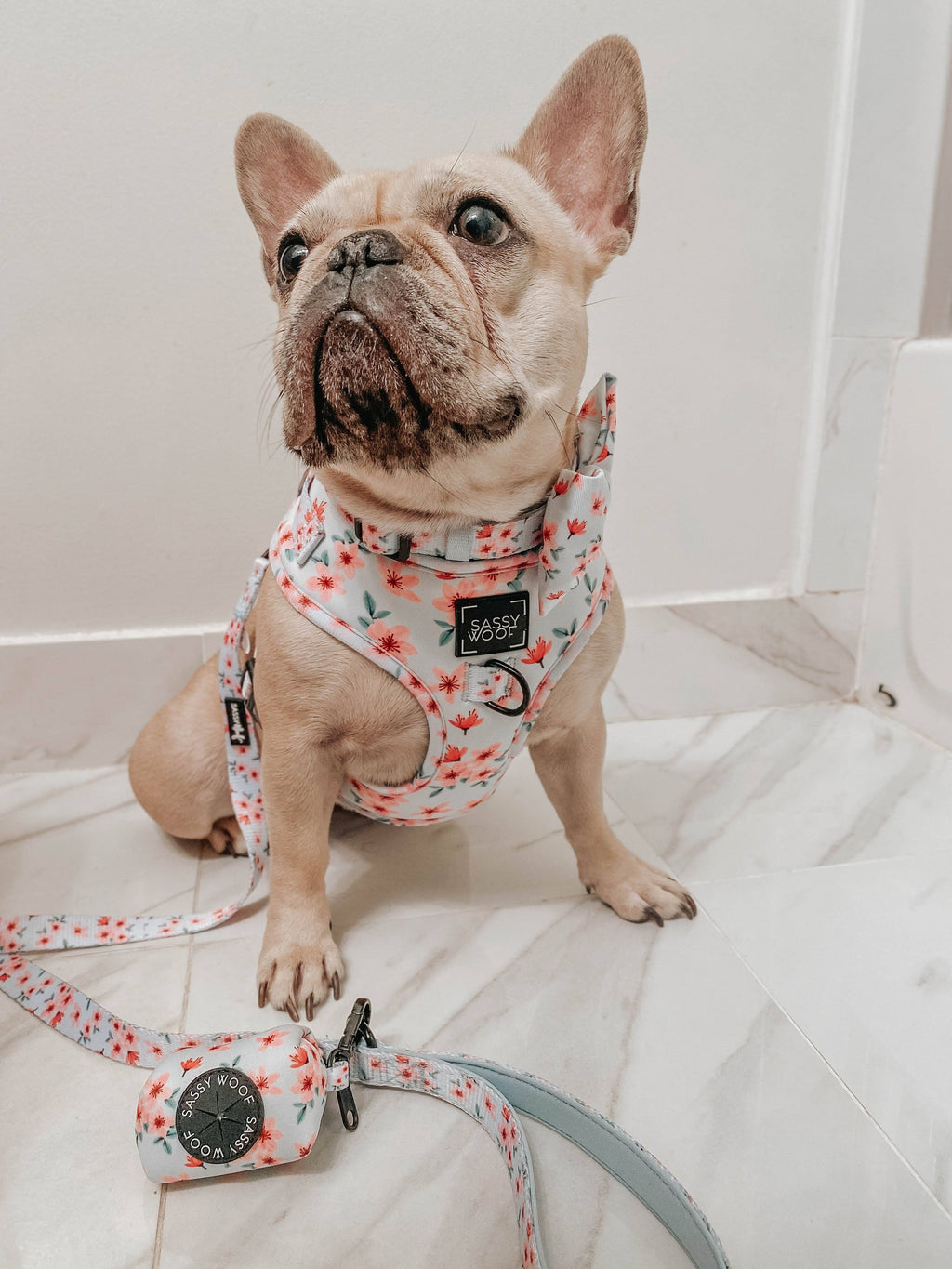 Dog Leash - Sakura (Spring)