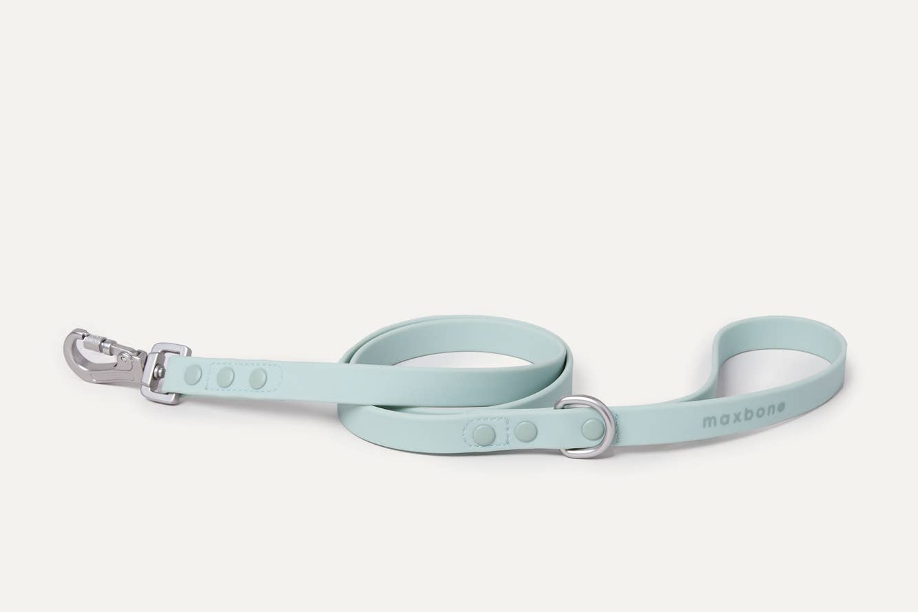 Sand Leash for Dogs
