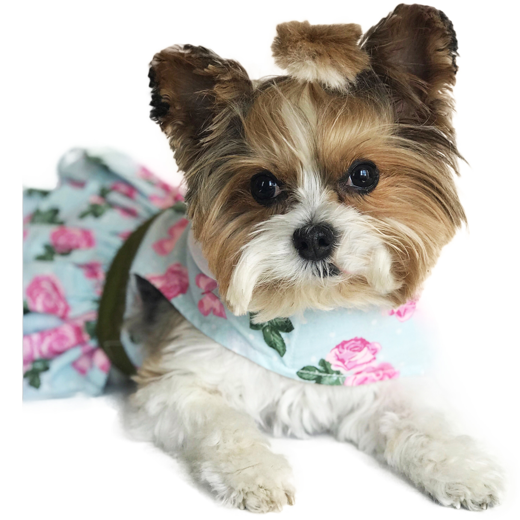 Pink Rose Dog Harness Dress w/ Matching Leash