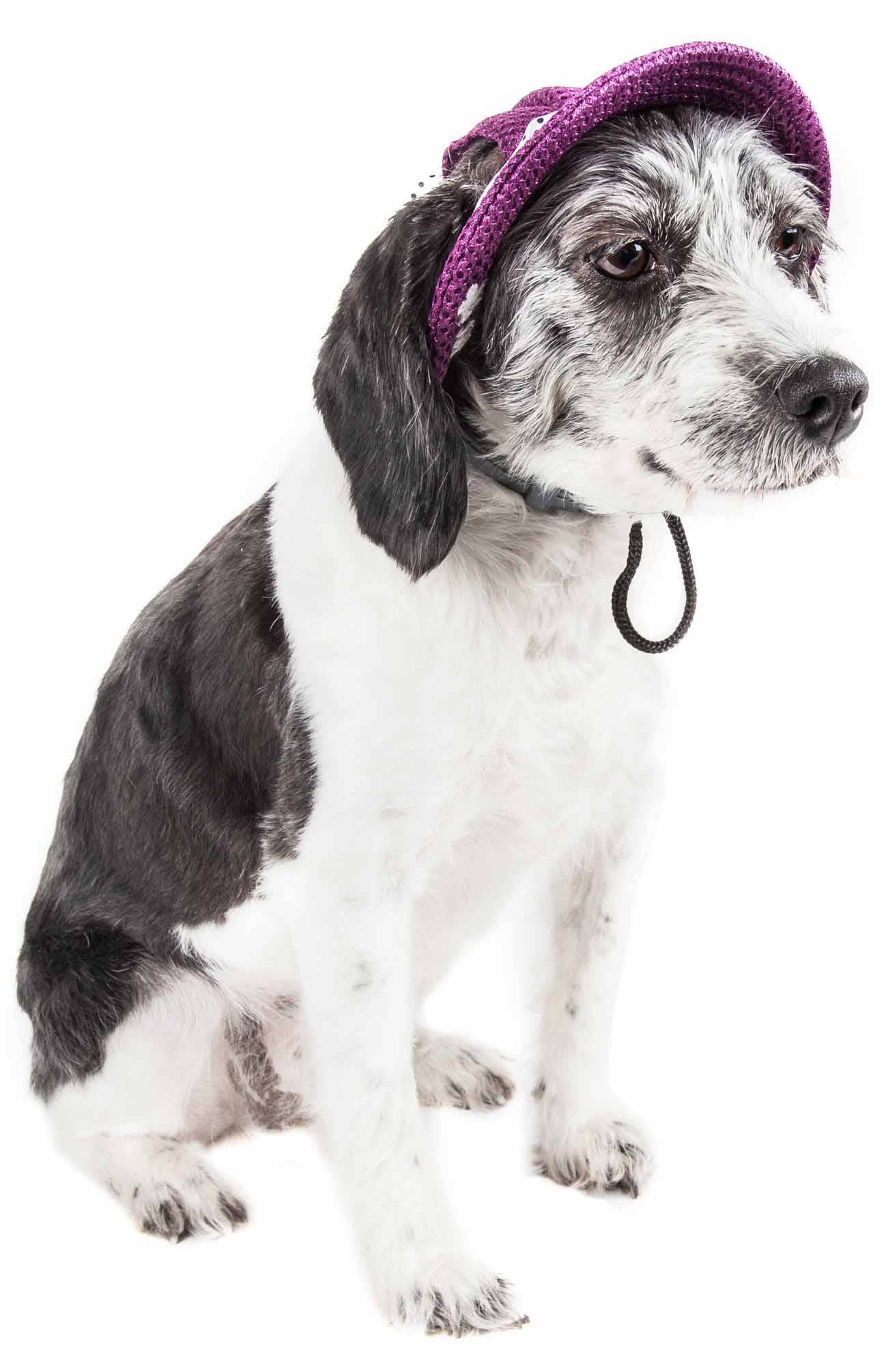 UV Protectant Adjustable Dog Hat Cap