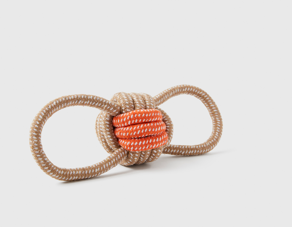 Green Dog ball with knotted rope