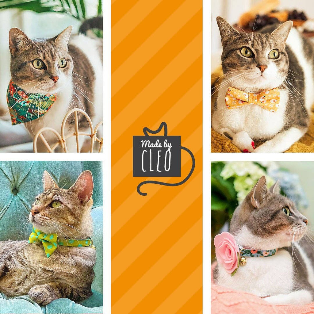 "Carousel" - Striped Rainbow Cat Collar