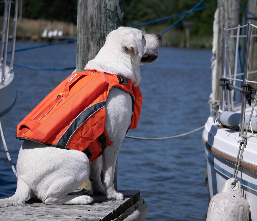 Monterey Bay Offshore Dog Lifejacket
