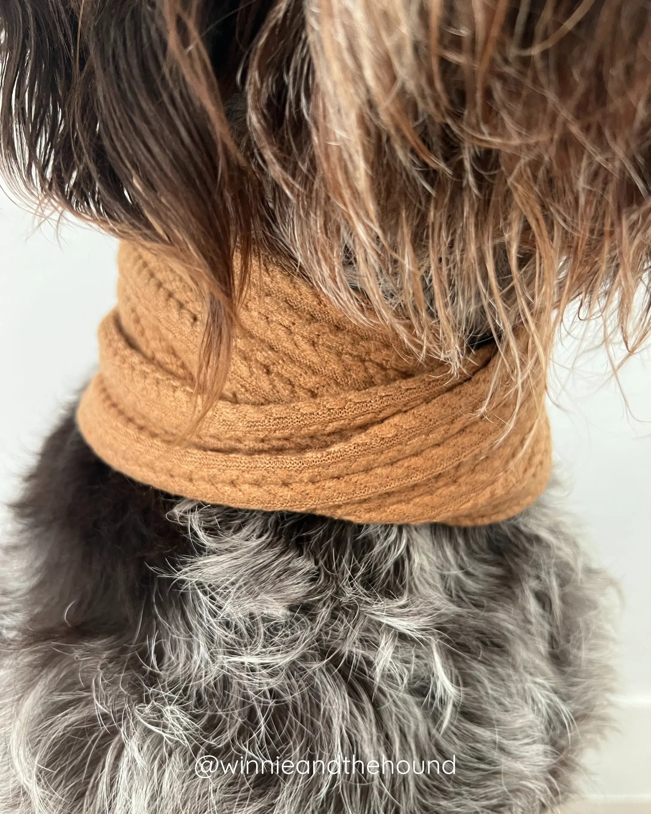 Camel Sweater Knit Infinity Scarf for Dogs | Fall