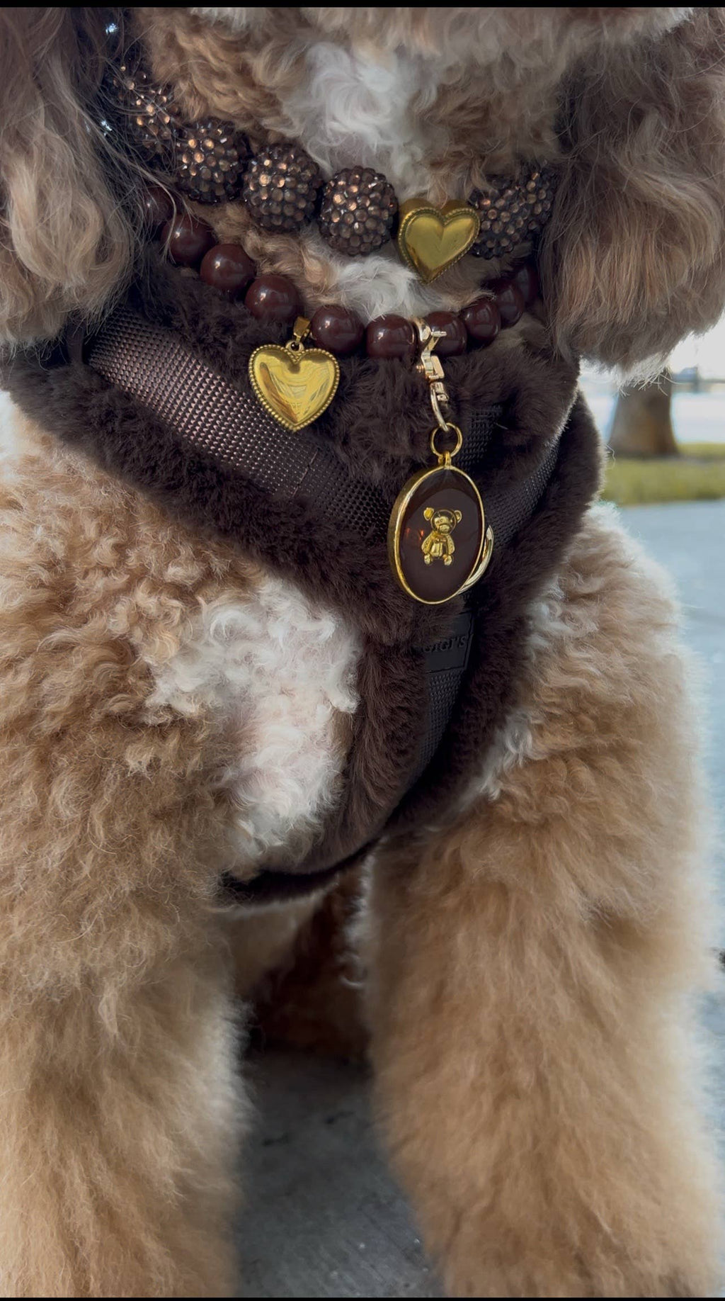 Comfort Furlowe Harness - Mocha