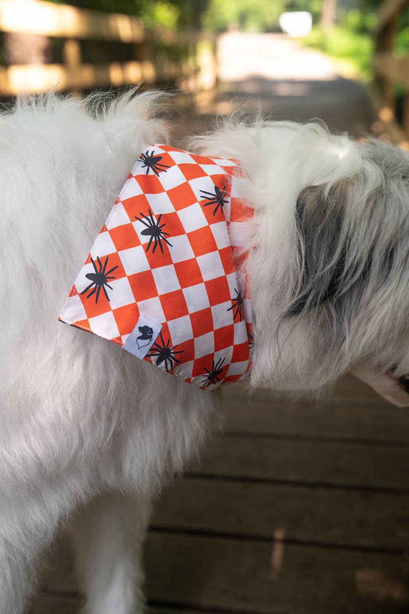 Halloween Plaid Dog Bandana