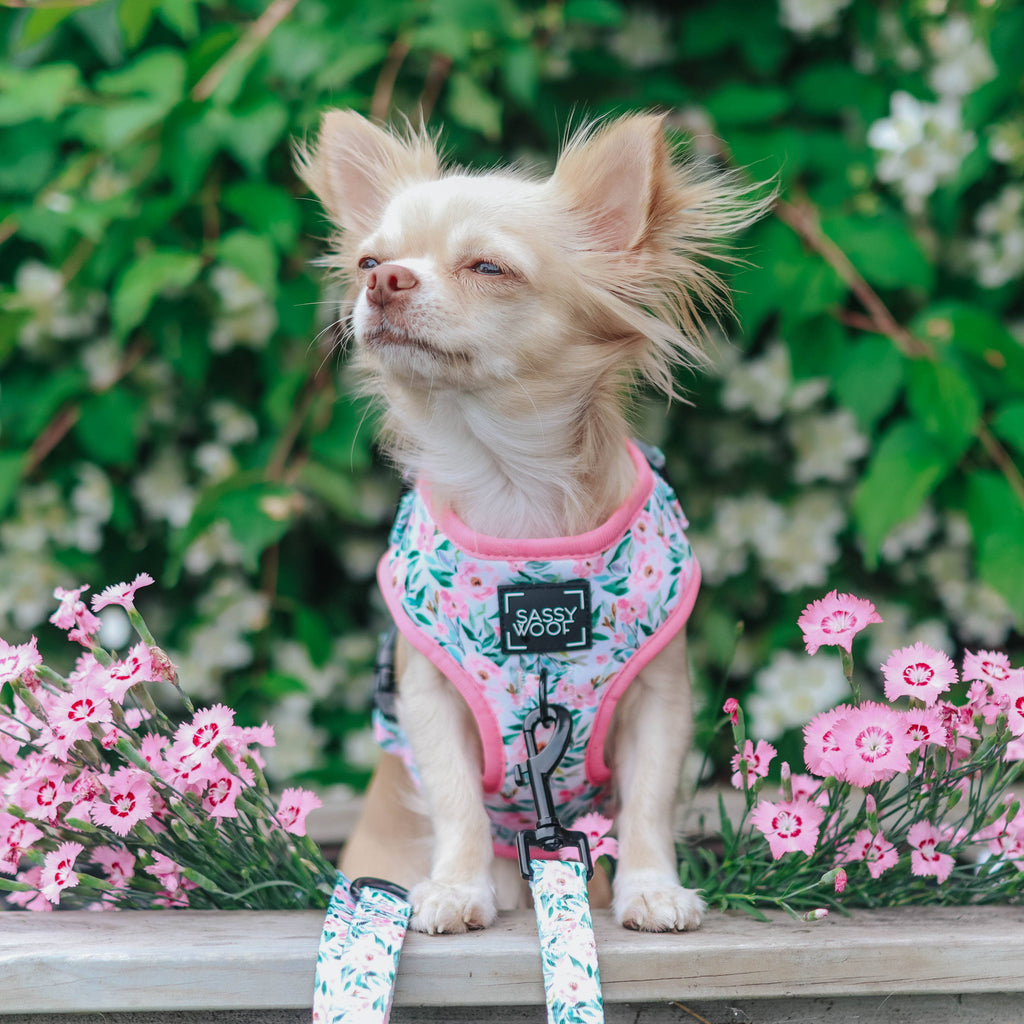 Dog Adjustable Harness - Magnolia