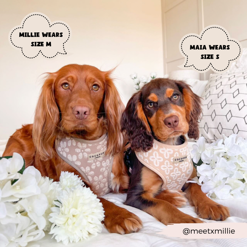 LUXE Adjustable Neck Harness - Mocha Flower