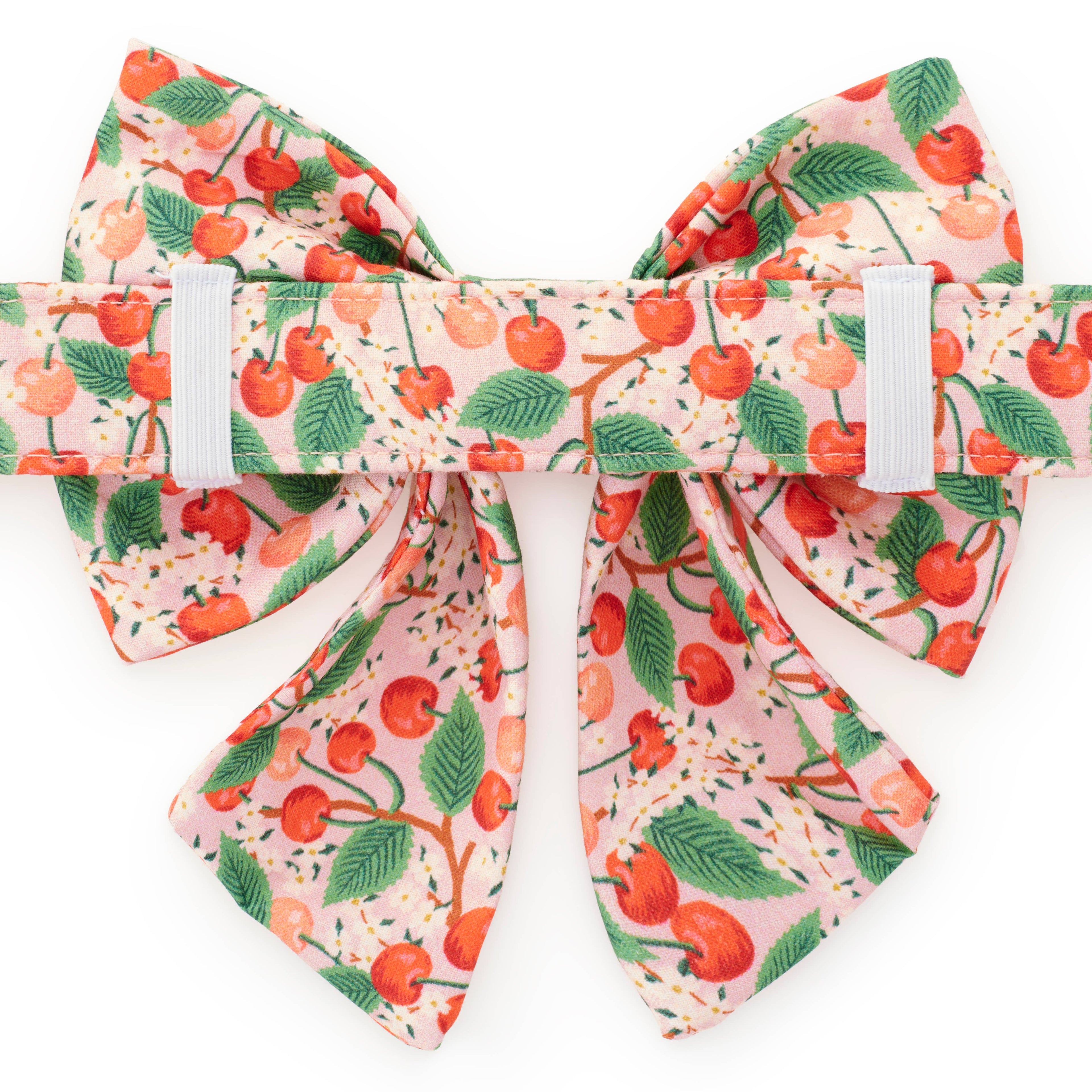 Rifle Paper Co. x TFD Cherry Blossom Spring Lady Dog Bow