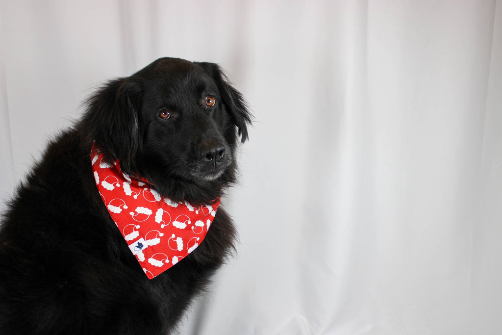 Santa Hat / Winter Tree Tie On Dog Bandana