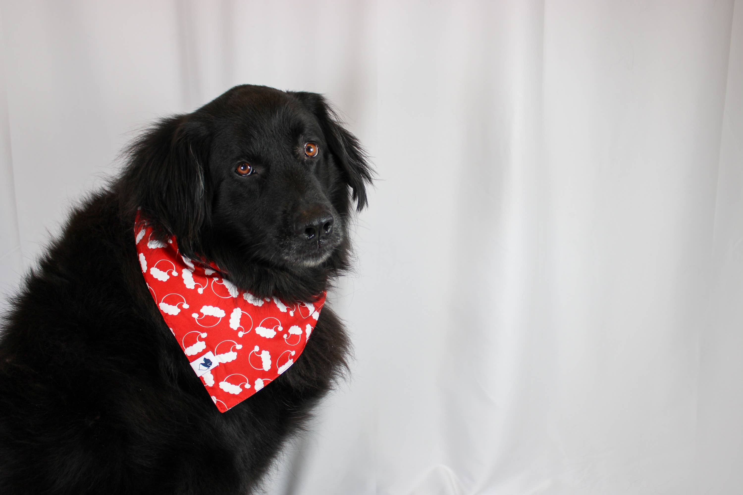 Santa Hat / Winter Tree Tie On Dog Bandana
