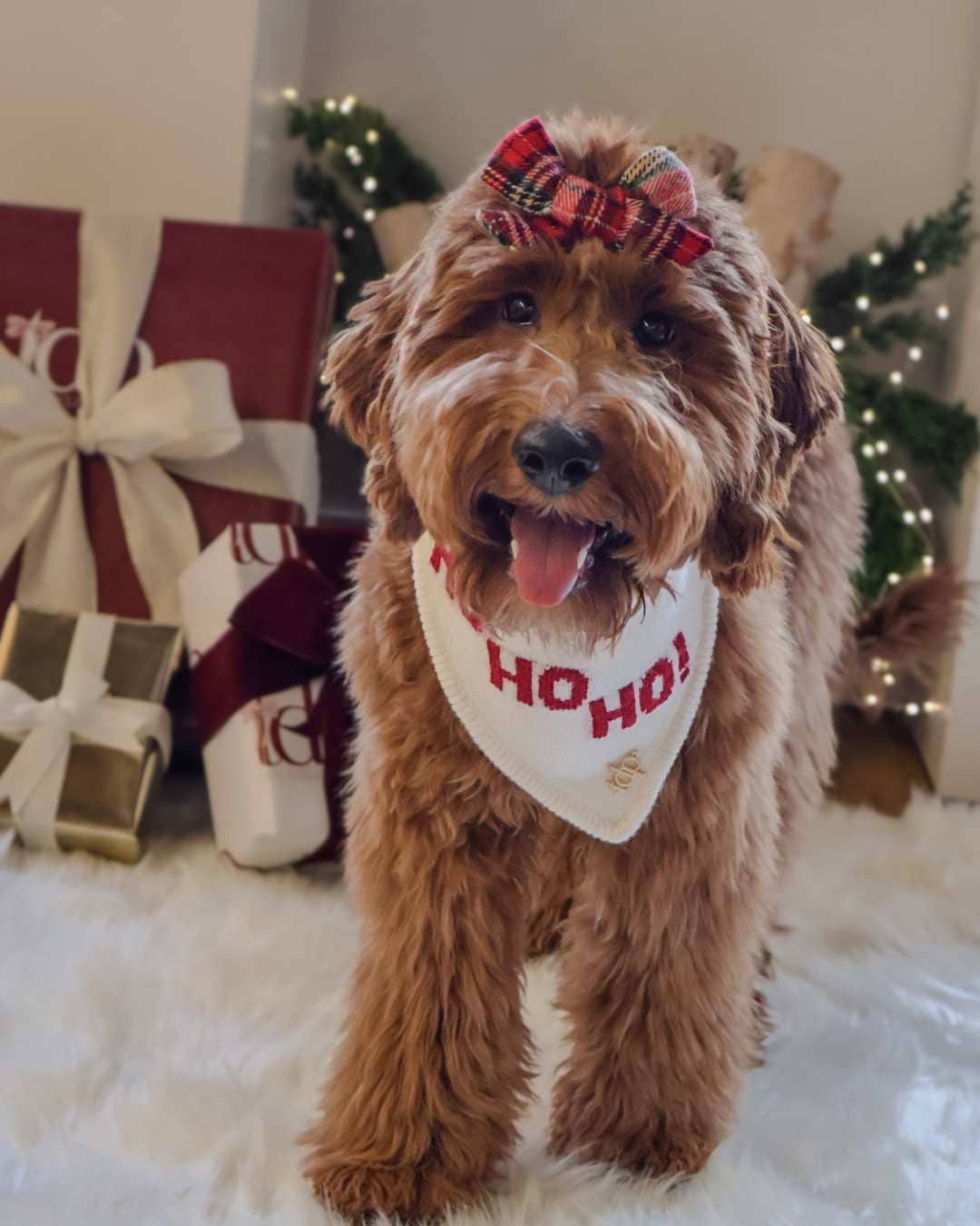 CHRISTMAS DOG BANDANA | HO HO HO