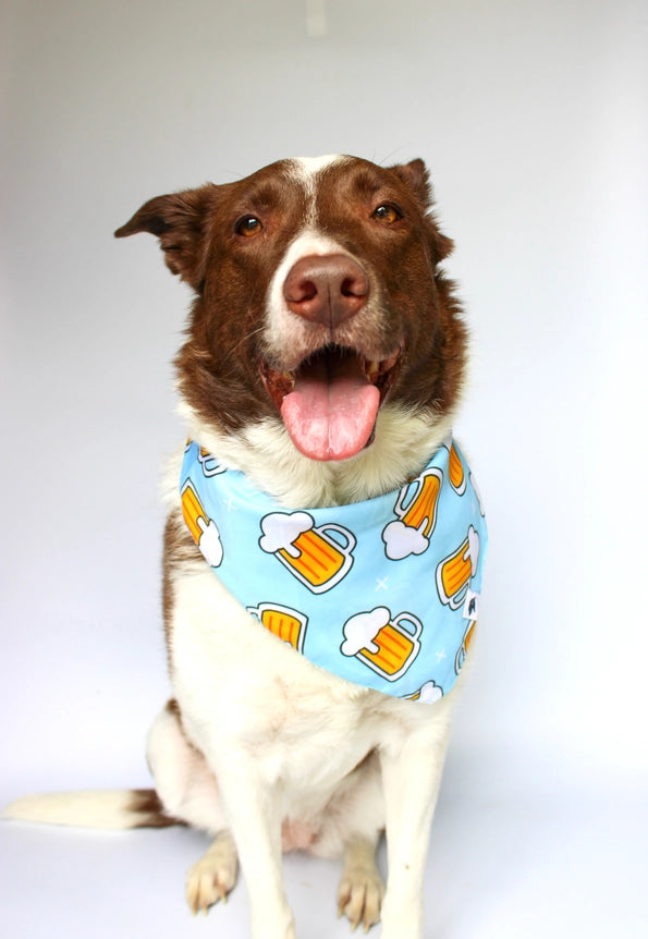 Beer Bandana