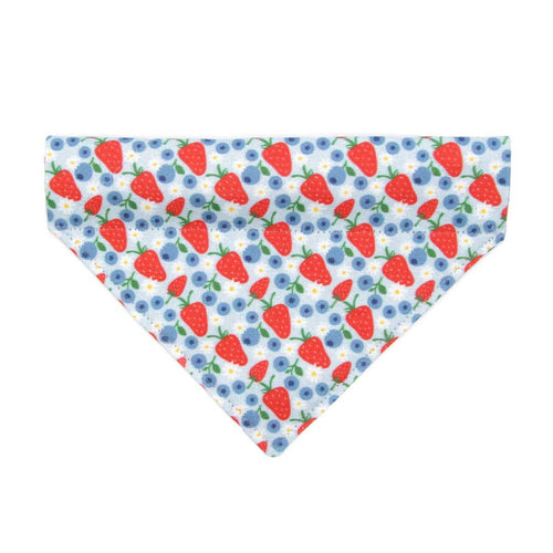 "Berry Bramble" - Bandana For Cats & Small Dogs