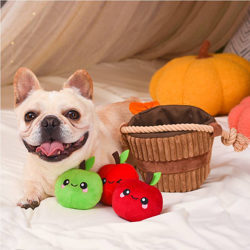 Apple Basket -Interactive Toy