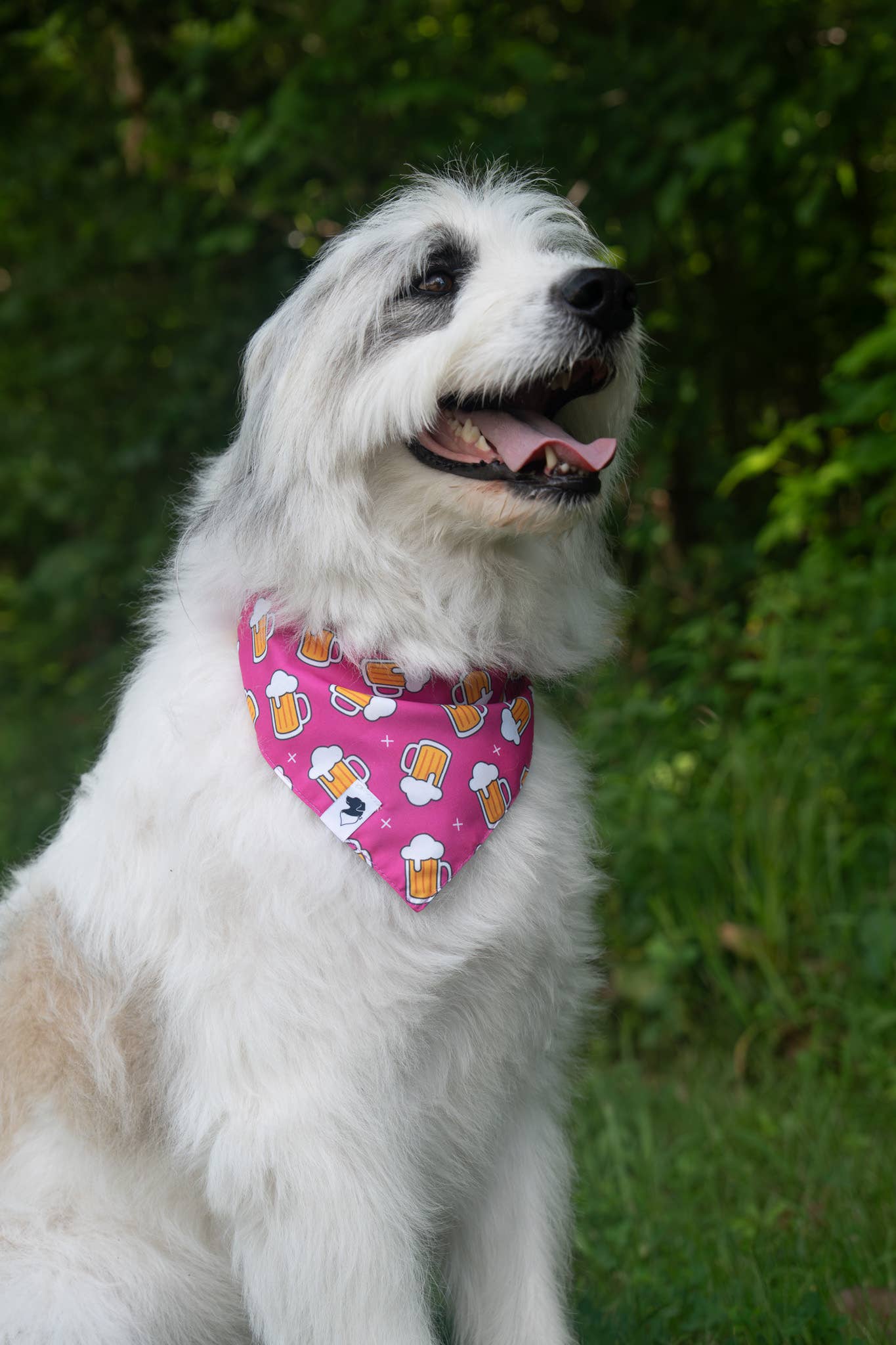 Cheers & Beer Dog Bandana