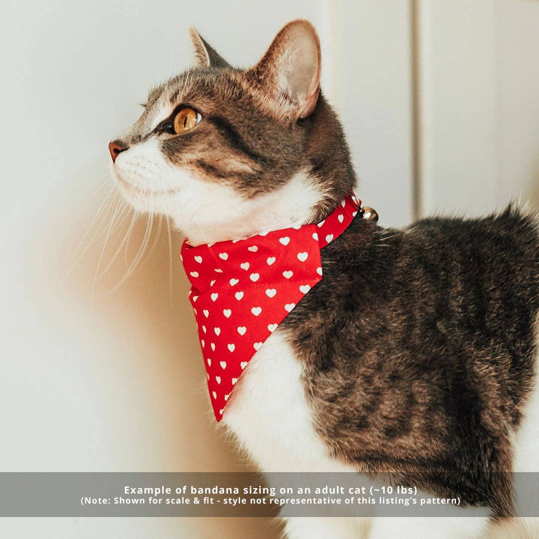 "Birthday Candles" - Bandana for Cat + Small Dog