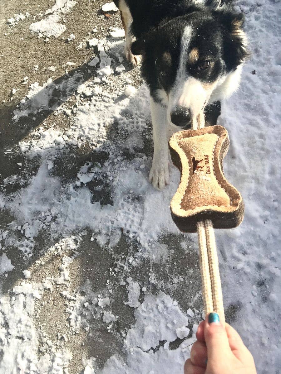 Tall Tails Natural Leather & Wool Bone Tug Toy - 16"