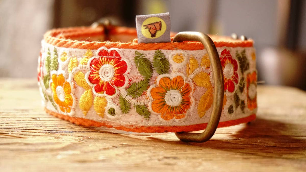 orange collar with floral design